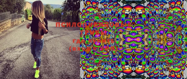 PSILOCYBIN Бугульма
