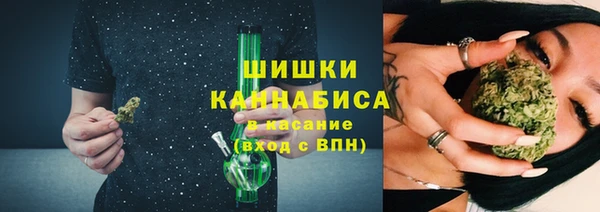 стаф Бронницы