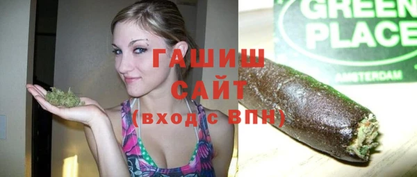 шишки Бородино
