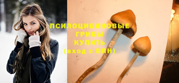 PSILOCYBIN Бугульма
