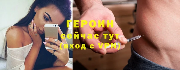 шишки Бородино
