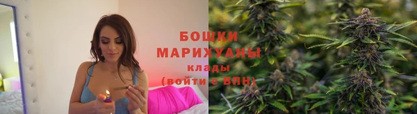 шишки Бородино