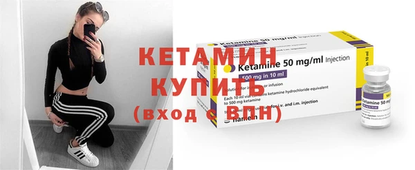шишки Бородино