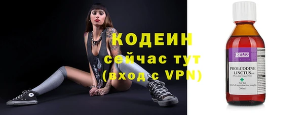 шишки Бородино