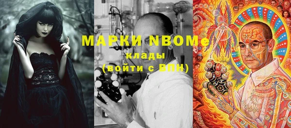шишки Бородино
