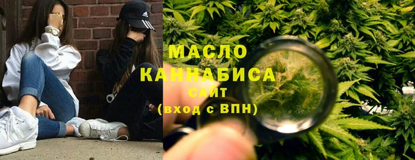 шишки Бородино
