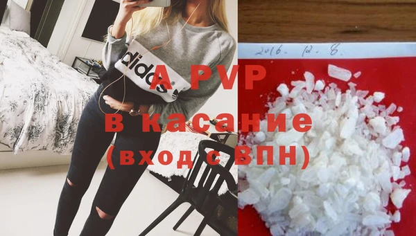 стаф Бронницы