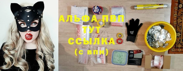 стаф Бронницы