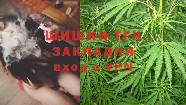 стаф Заволжье