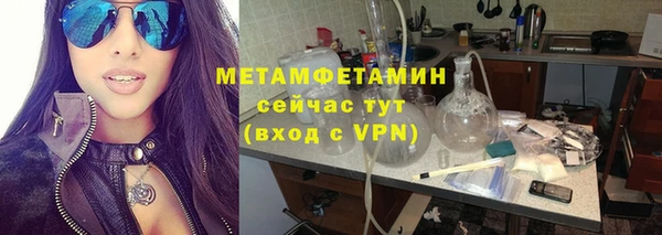 шишки Бородино