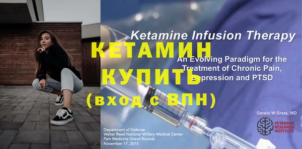шишки Бородино